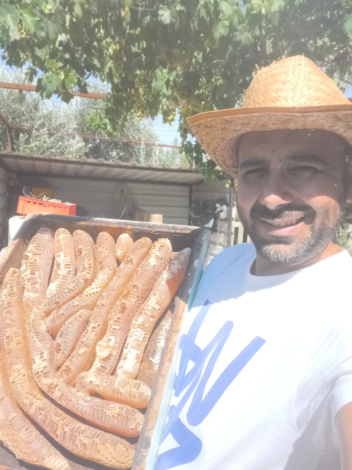 Ο μελισσοκόμος με προστατευτική στολή δουλεύει σε ανοιχτή κυψέλη στο μελισσοτόπι